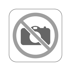 Exchange engine double port 1600 cc - CT code