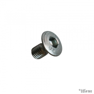 Allen key bolt doorhinge/ lock catch