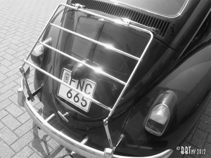 Rear luggage carrier, economy