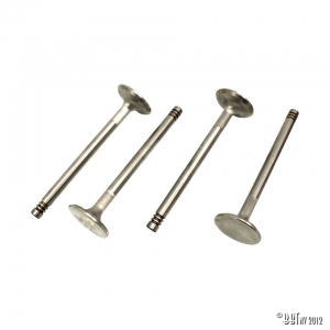 S/S valves 32 mm by 4